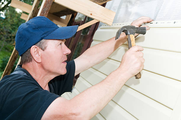 Best Vinyl Siding Installation  in USA