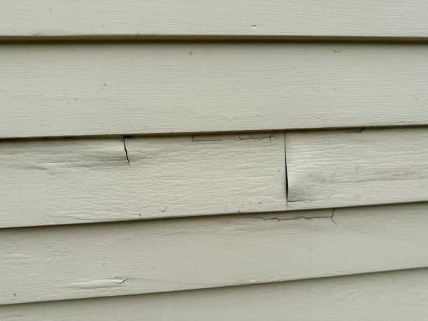 Best Siding Repair  in USA